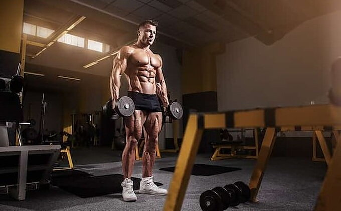 Especialista en musculación para fitness estético