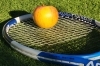 Curso Nutrición Deportiva Aplicada al Tenis