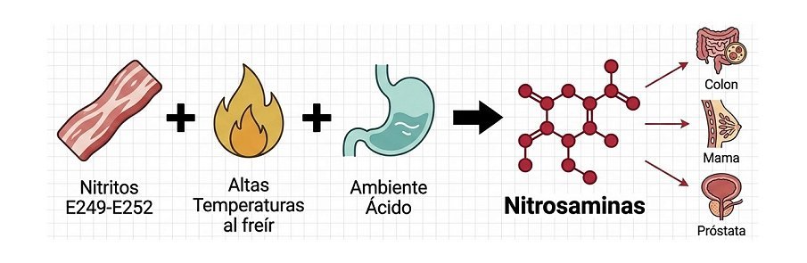 Nitritos y nitratos (E249–E252), y riesgo de cáncer
