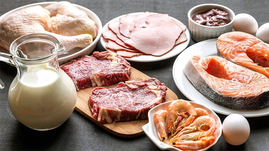 Alimentos ricos en aminoácidos-ramificados de origen animal y vegetal