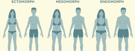 Somatotipo Y Su Clasificación. ¿Cómo Se Calcula?