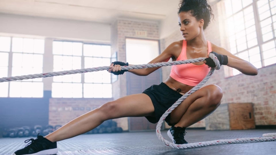 ¿Cómo funcionan las fibras musculares?