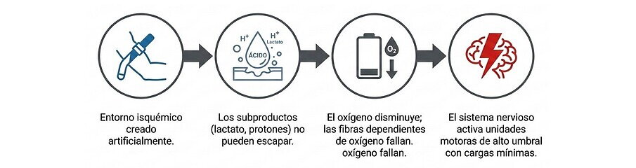 complemento para añadir volumen de entrenamiento hipertrófico