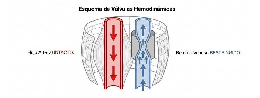 Esquema de válvulas hemodinámicas
