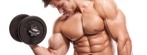 Diferencias entre coordinación intramuscular e intermuscular