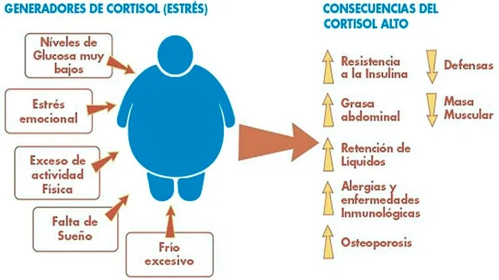 Consecuencias de tener el cortisol alto