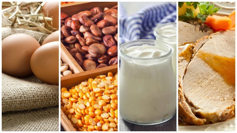 ¿cual mejor la proteína animal que la vegetal?