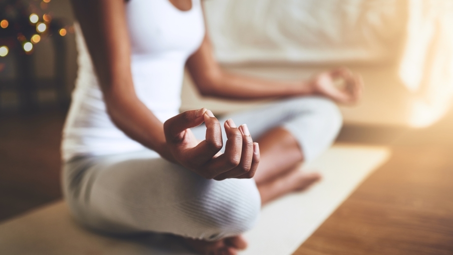 Rama del Yoga - Dhyana