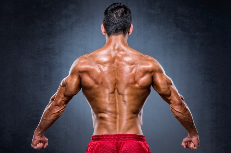 ¿Qué es ganar o aumentar masa muscular?