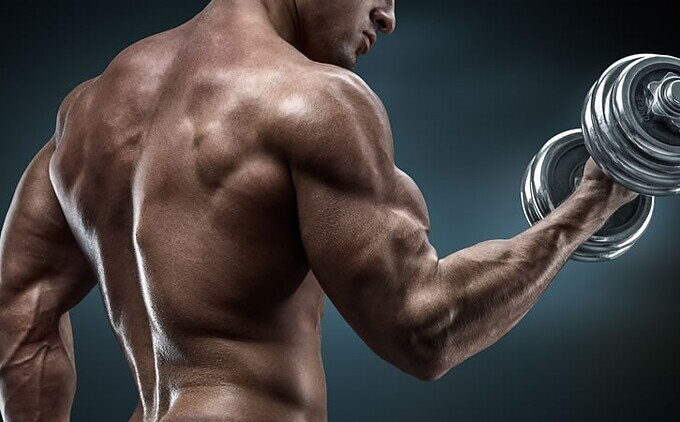 Diferencias entre coordinación intramuscular e intermuscular Diferencias entre coordinación intramuscular e intermuscular