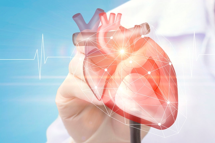 Ejercicio con trasplante de corazón. Pautas y beneficios Ejercicio con trasplante de corazón. Pautas y beneficios