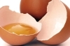 El huevo, fuente de proteínas