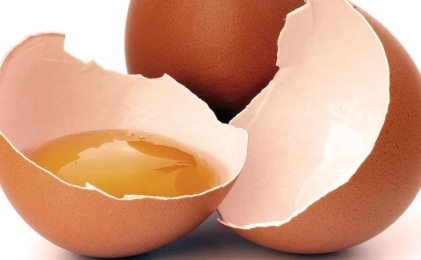 El huevo, fuente de proteínas