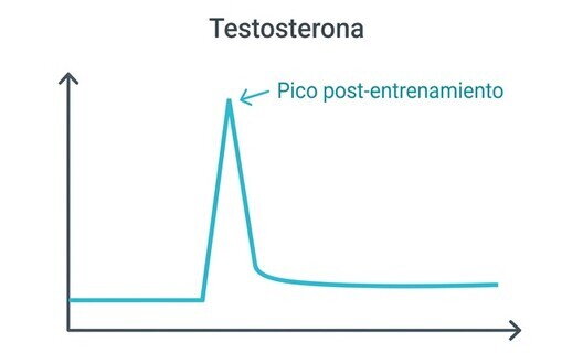Aumento de la testosterona y respuesta antiinflamatoria