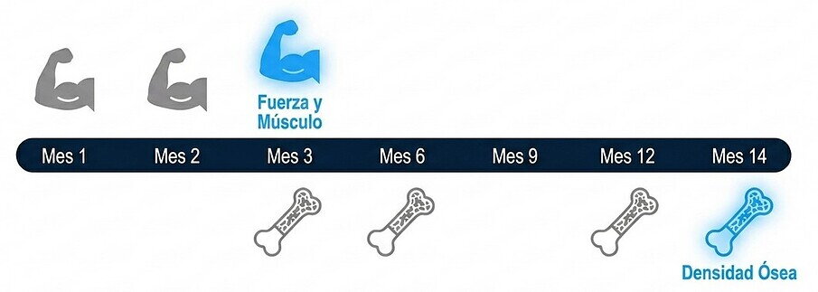 Cuánto tiempo hace falta para tener beneficios hormonales
