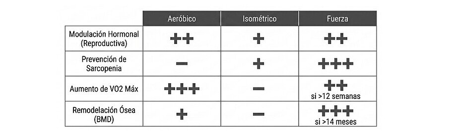 Mitos sobre el entrenamiento de fuerza y las hormonas femeninas
