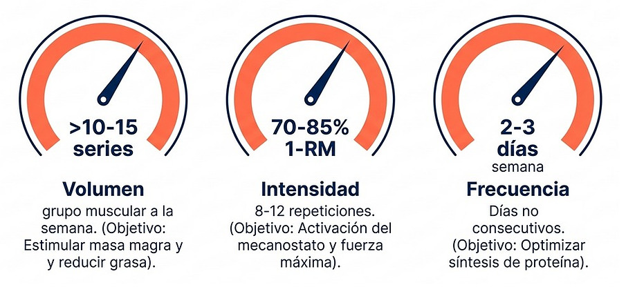 Parámetros clave de entrenamiento de fuerza: volumen, intensidad y frecuencia semanal