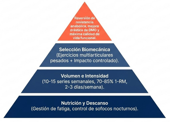 Pirámide de prioridades en el entrenamiento de fuerza para la menopausia: nutrición, parámetros de carga y selección biomecánica