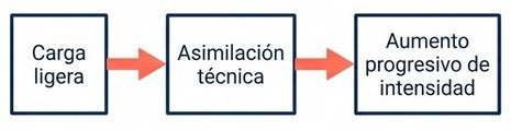 Progresión del entrenamiento de fuerza: de carga ligera y asimilación técnica al aumento progresivo de intensidad