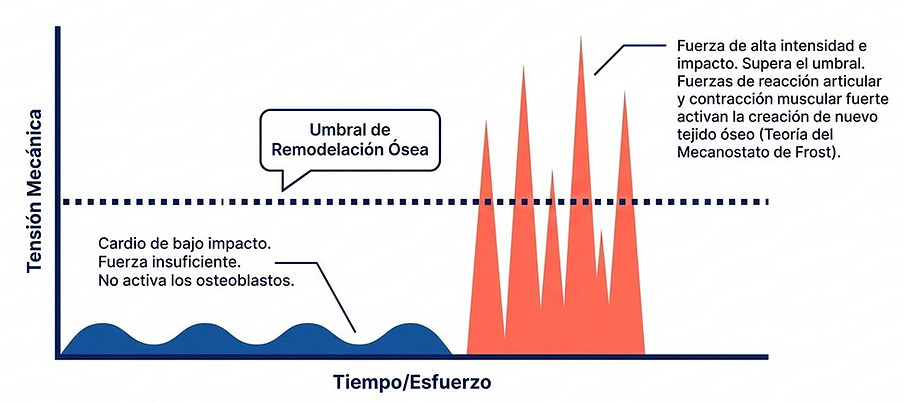 Grafica Tensión mecánica por tiempo esfuerzo