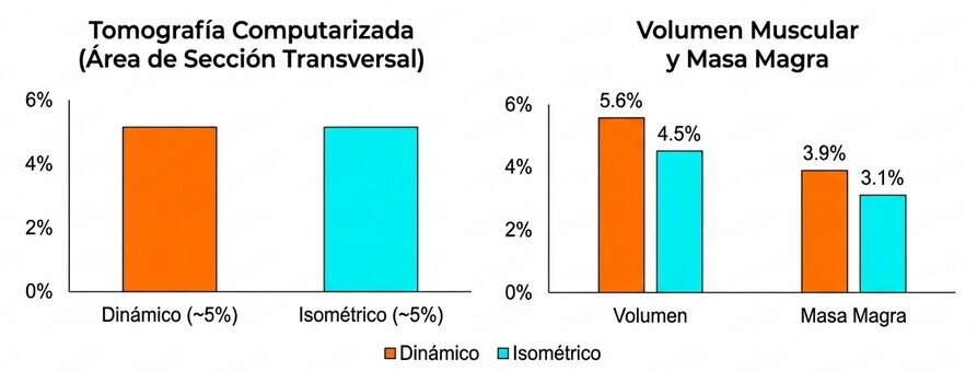 evaluaciones de volumen muscular