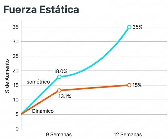 Fuerza Estática