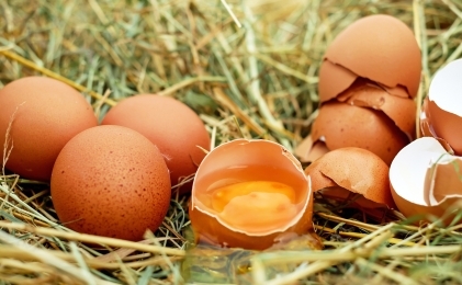 especialistas-erradican-mitos-sobre-el-consumo-de-huevo