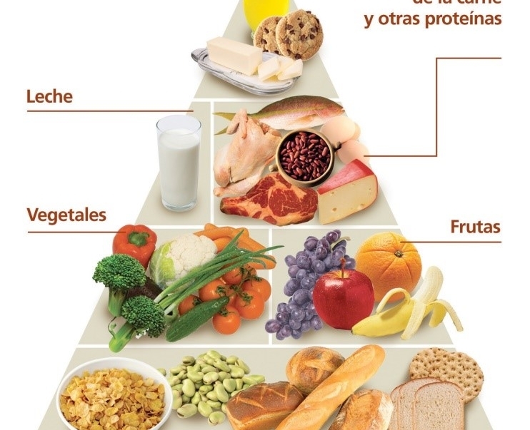 Estructura de la pirámide nutricional
