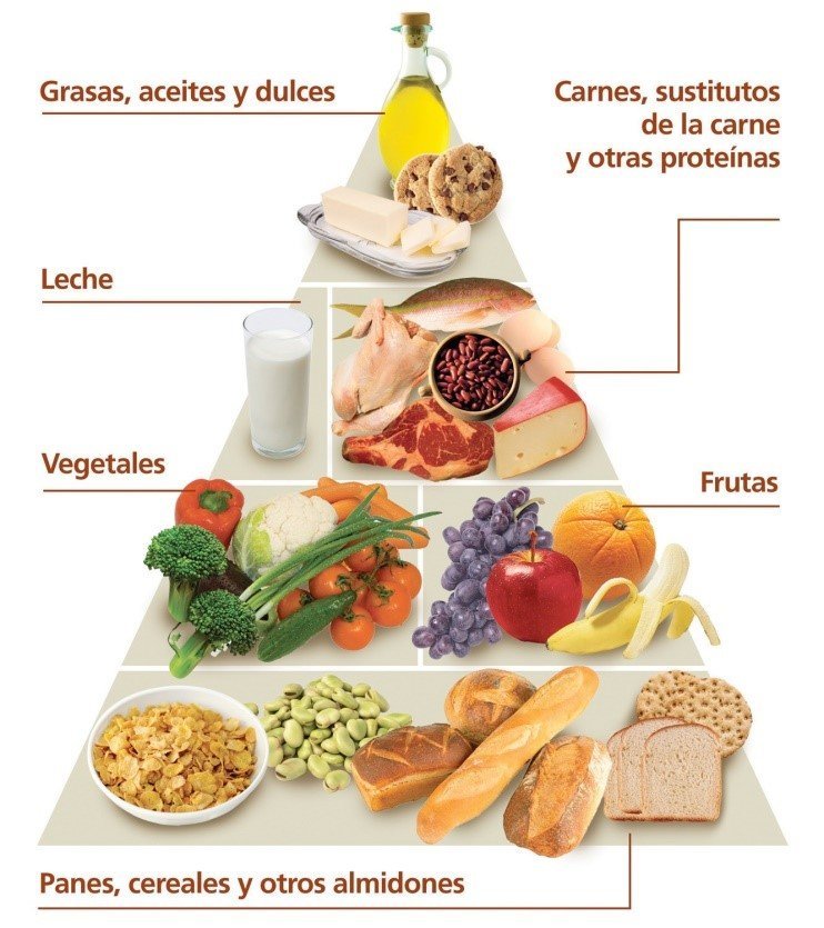 Estructura de la pirámide nutricional