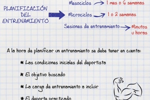 Planificación O Periodización Del Entrenamiento Deportivo