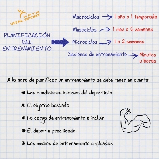 Estructura de la planificación deportiva