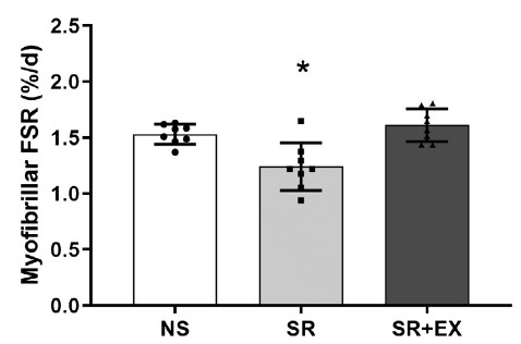 El grupo privado de sueño mostró una reducción significativa en la síntesis de proteínas musculares en comparación con el grupo de sueño normal