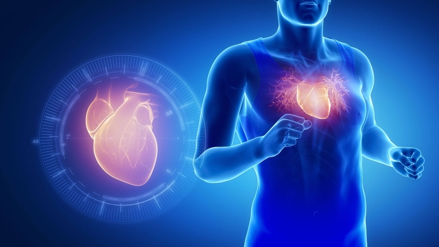 ¿Porque los deportistas tienen la frecuencia cardiaca más baja?