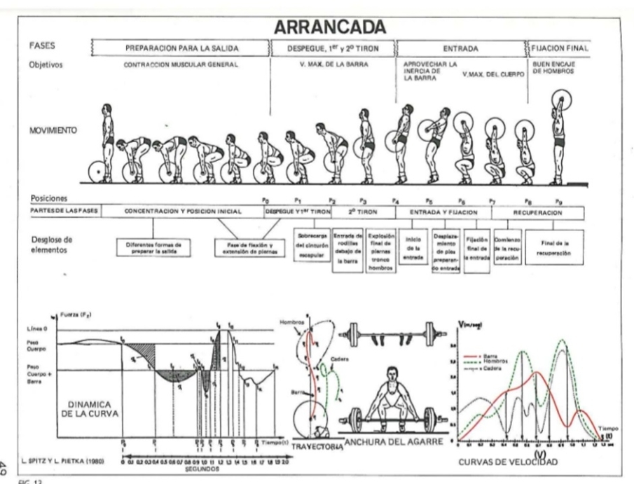 Posturas del Snatch o arrancada