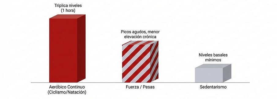 Sedentarismo