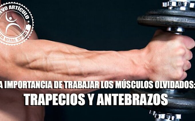 la-importancia-detrabajar-los-musculos-olvidados-trapecios-y-antebrazos