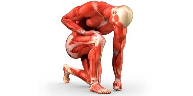Lesiones en contra de la masa muscular