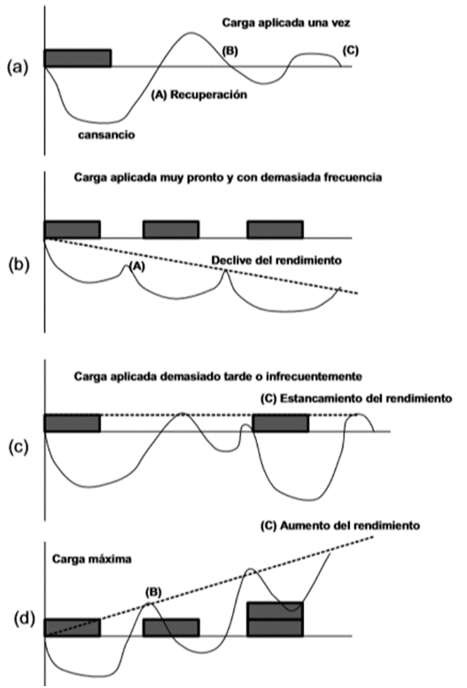 Mecanismos de adaptación