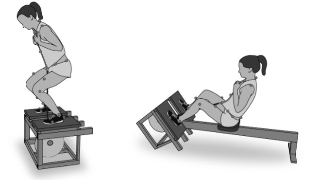 Estudio sobre músculos implicados en sentadilla vs prensa