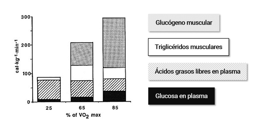 Demanda de energía en deportes de resistencia
