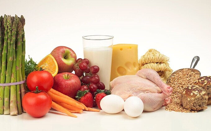 Nutrición celular y molecular