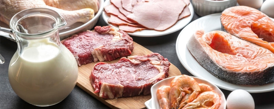 Proteinas para una recuperación muscular
