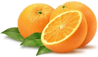 ¿Que es la vitamina C?