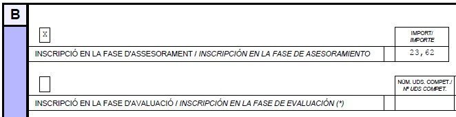 queremos pagar la fase de asesoramiento parte 2