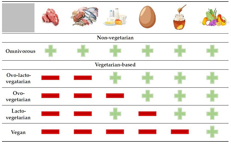 Tipos de dietas basadas en plantas y planificación deportiva