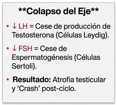 Infertilidad y atrofia testicular