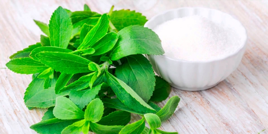 Stevia - Edulcorante natural