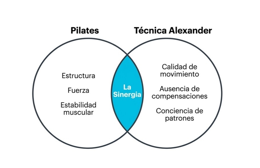 Relación de la Técnica Alexander con el Pilates