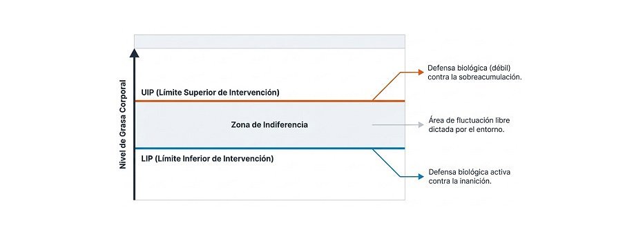 variabilidad individual en el nivel de obesidad 