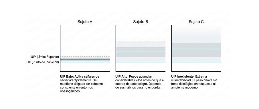 Variabilidad individual en los límites del DIP